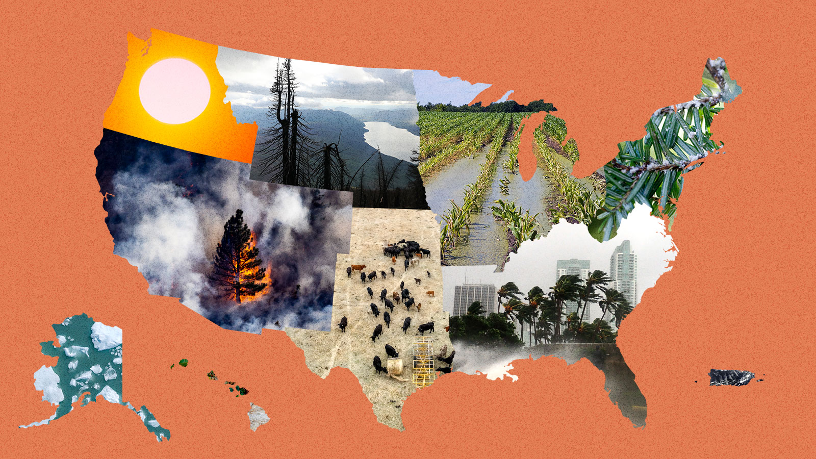 Map of United States showing region-specific climate impacts across the country